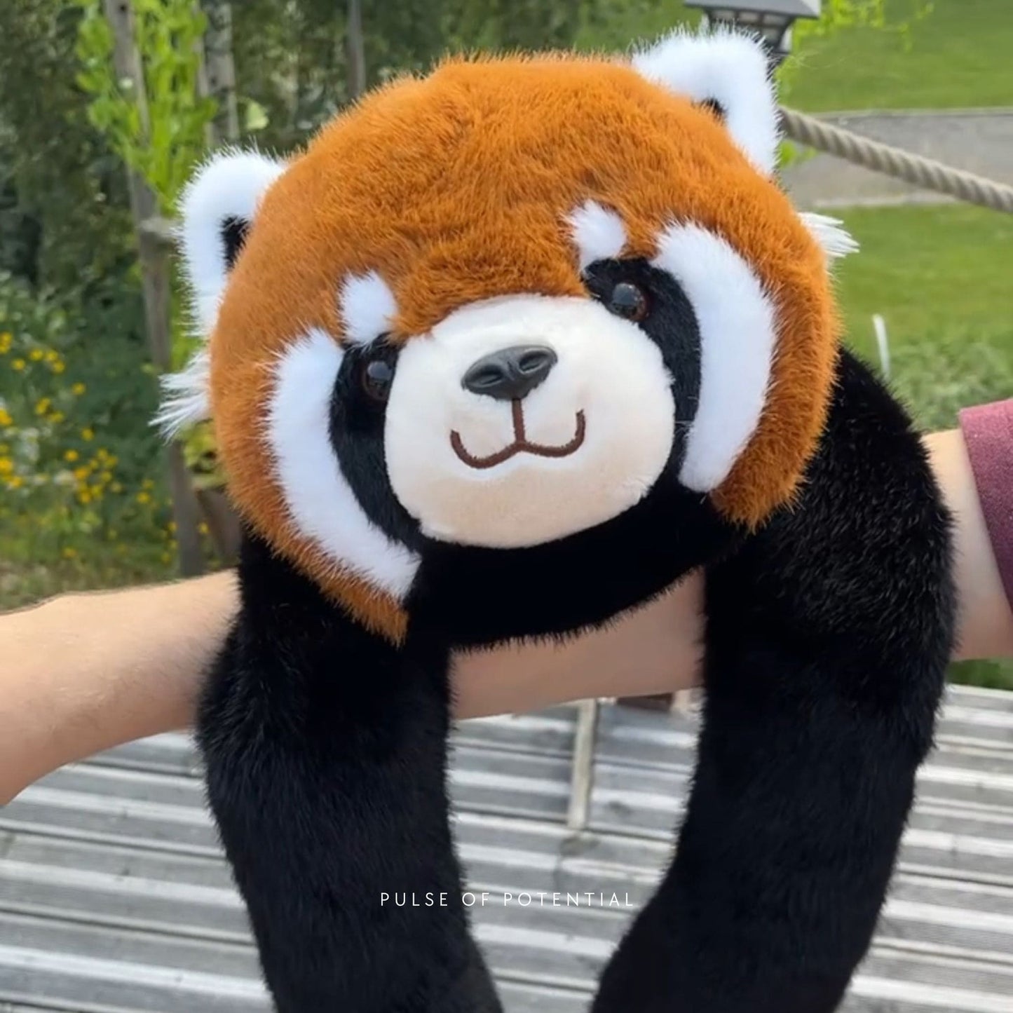 Pookie the Panda/Sunnie the Sloth/Remie the Red Panda/Koko the Koala Weighted Animal